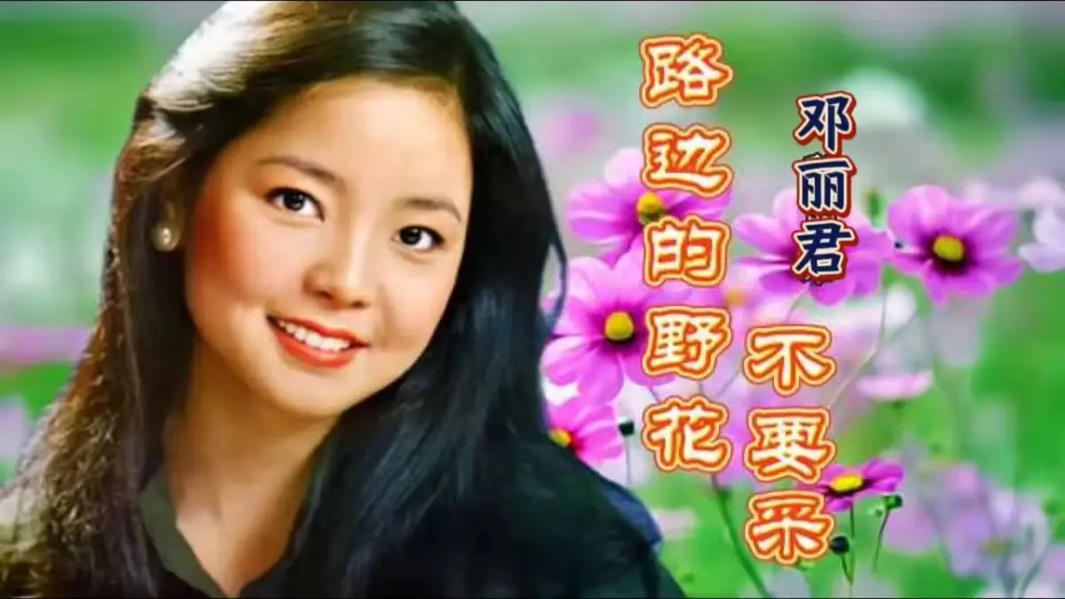 邓丽君精选歌曲200首无损音乐专辑下载-邓丽君经典歌曲200首合集下载